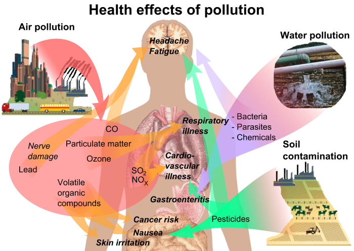 Pollution health effects air file human effect environmental environment water wikipedia humans causes industrial cause our life body soil gas